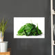 Spinach Wall Decal