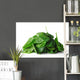 Spinach Wall Decal