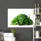 Spinach Wall Decal