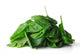 Spinach Wall Decal
