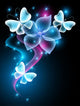 Butterflies and Stars Wall Decal