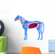 Horse Digestive System Horse Wall Decal