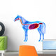 Horse Digestive System Horse Wall Decal