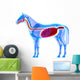 Horse Digestive System Horse Wall Decal