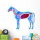 Horse Digestive System Horse Wall Decal