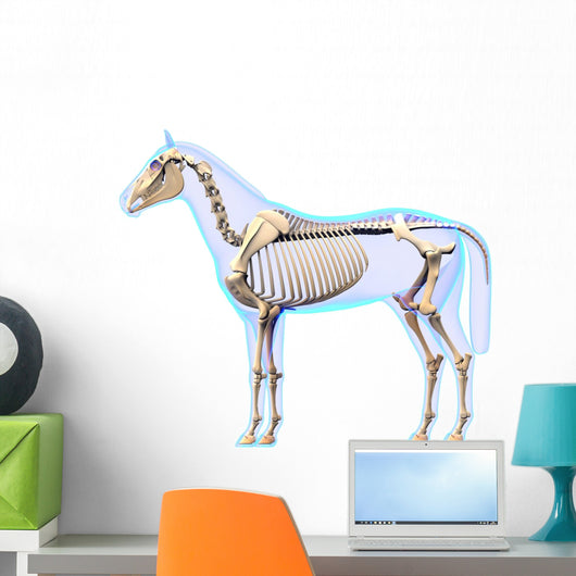 Horse Skeleton Side Horse Wall Decal