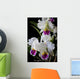 Cattleya Orchid Wall Decal
