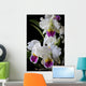 Cattleya Orchid Wall Decal