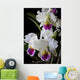Cattleya Orchid Wall Decal
