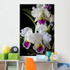 Cattleya Orchid Wall Decal