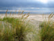 Desolate Beach Wall Decal