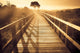 Landscape Wooden Path with Wall Decal