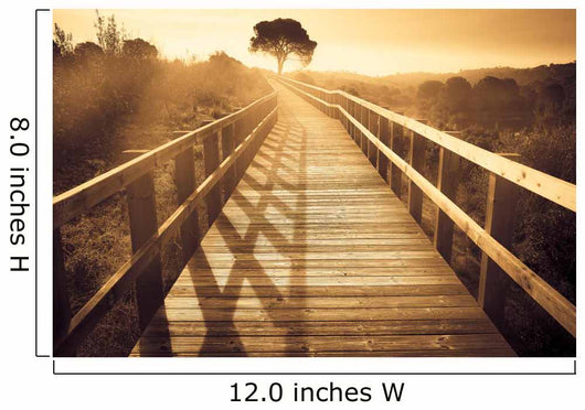 Landscape Wooden Path with Wall Decal