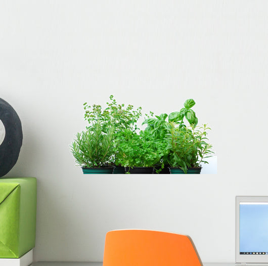 Herb Garden Wall Decal