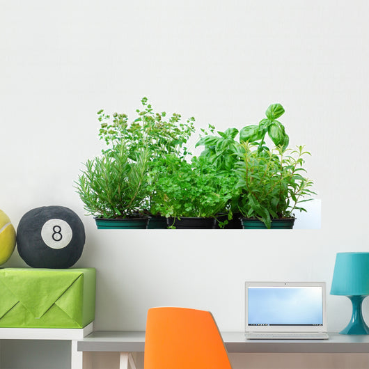 Herb Garden Wall Decal