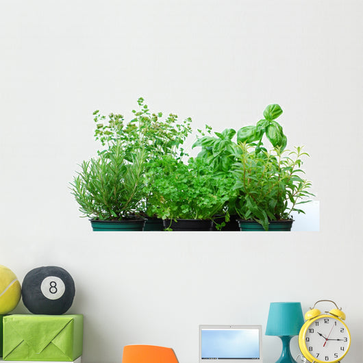 Herb Garden Wall Decal