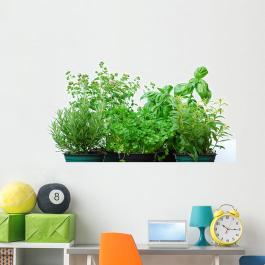 Herb Garden Wall Decal