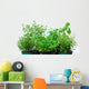 Herb Garden Wall Decal