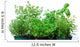 Herb Garden Wall Decal