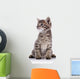 Striped Lovely Small Kitten Wall Decal