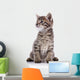 Striped Lovely Small Kitten Wall Decal