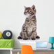 Striped Lovely Small Kitten Wall Decal