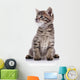Striped Lovely Small Kitten Wall Decal