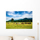 Herd Horses Graze before Wall Decal