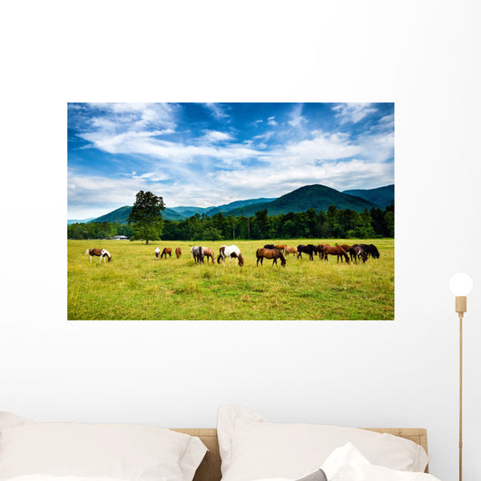 Herd Horses Graze before Wall Decal