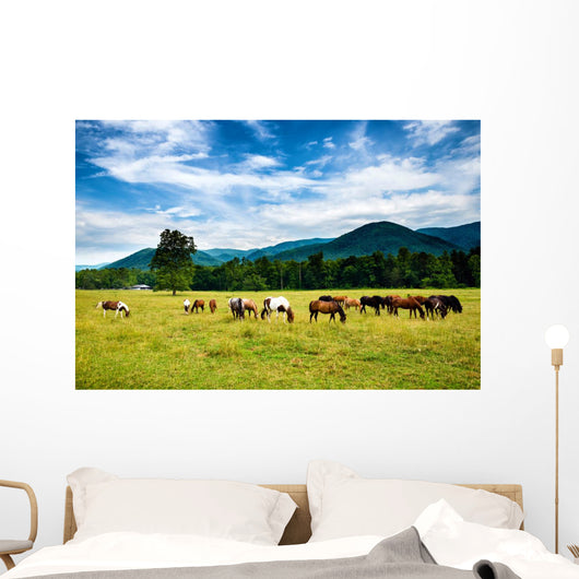 Herd Horses Graze before Wall Decal