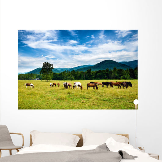 Herd Horses Graze before Wall Decal