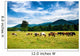 Herd Horses Graze before Wall Decal