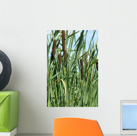 nature Wall Mural