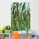 nature Wall Mural