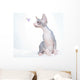Funny Sphinx Cat with Wall Decal