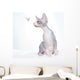 Funny Sphinx Cat with Wall Decal