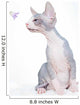 Funny Sphinx Cat with Wall Decal