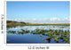 Everglades Wetland Wall Decal