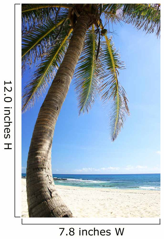 Palm Tree and Beach Wall Decal