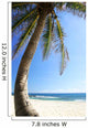 Palm Tree and Beach Wall Decal