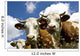 Cows Wall Decal