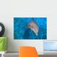 Dauphin Wall Decal
