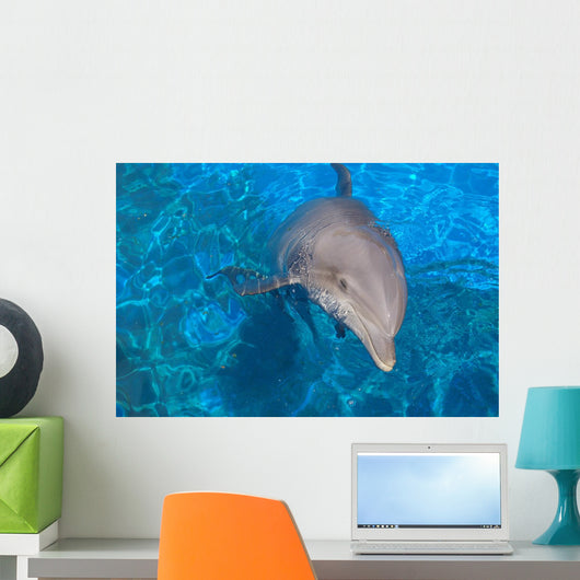 Dauphin Wall Decal