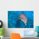 Dauphin Wall Decal