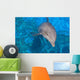 Dauphin Wall Decal