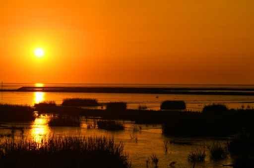 Norddeichs Sonne Wall Decal
