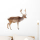 Photo-real Christmas Reindeer Wall Decal