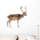 Photo-real Christmas Reindeer Wall Decal
