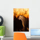 Leopard Sabi Sands Wall Decal