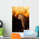 Leopard Sabi Sands Wall Decal